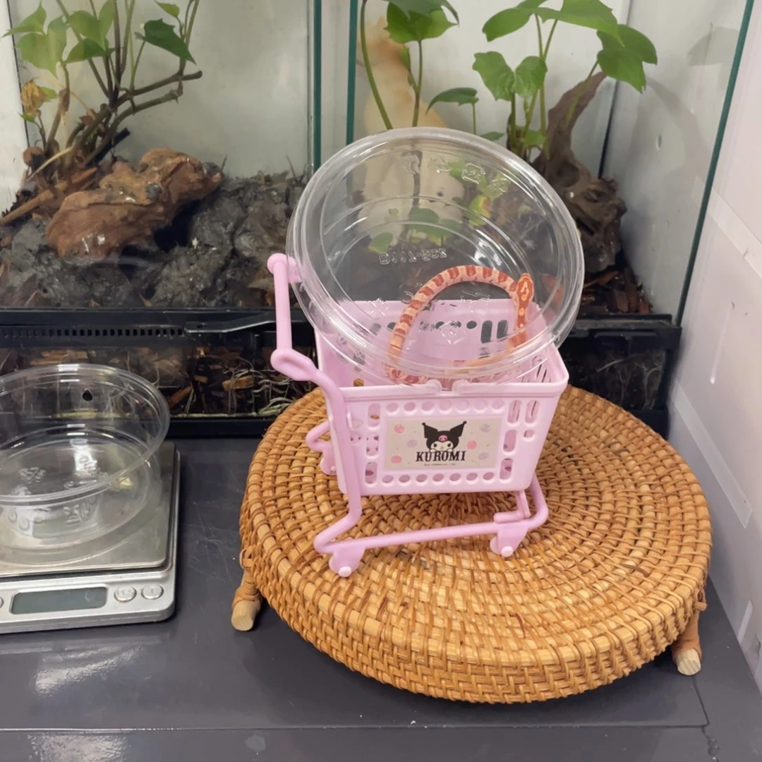 白色蚕宝宝辣条包邮包开食包15天售后