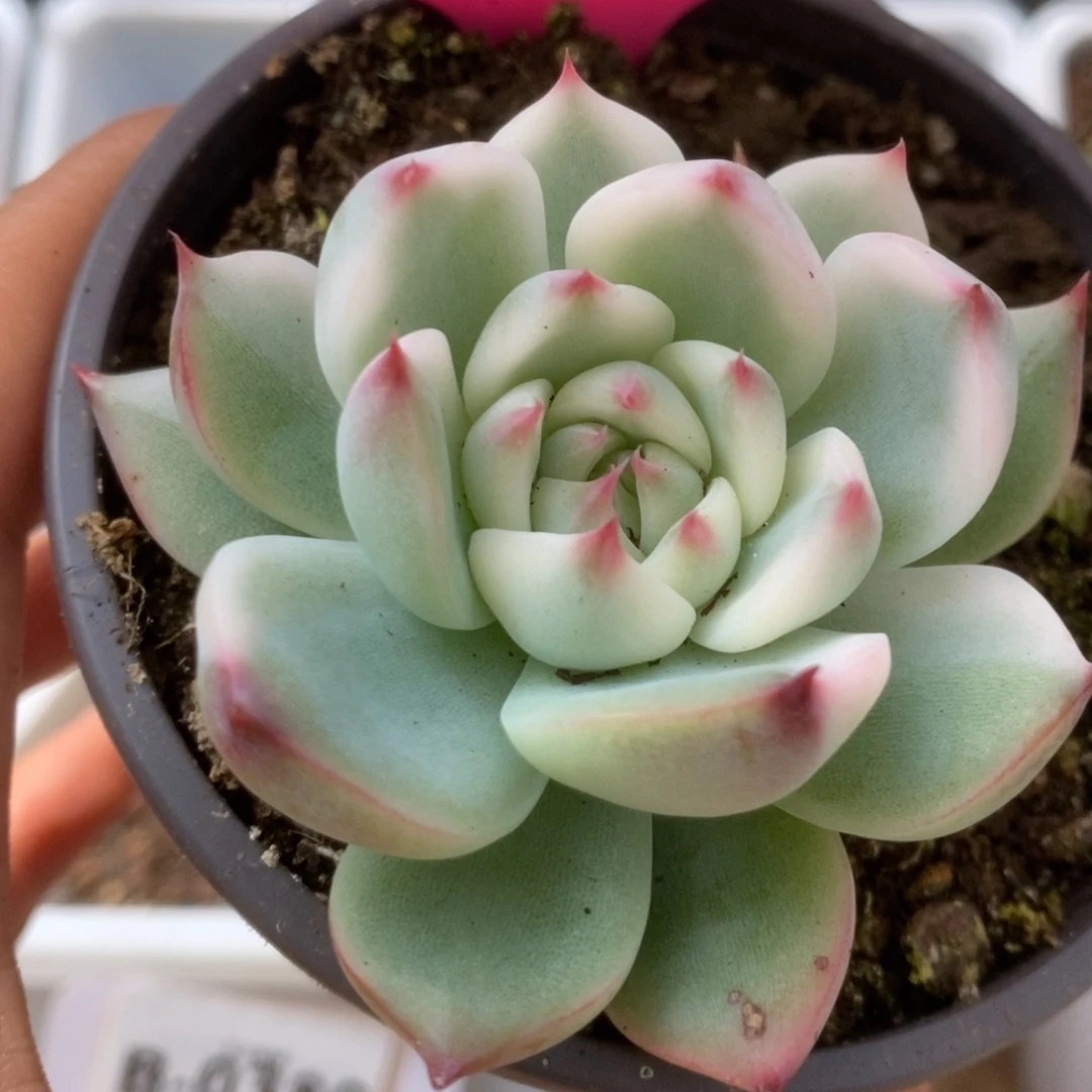 阿*༊314锦锦锦锦锦锦锦锦锦