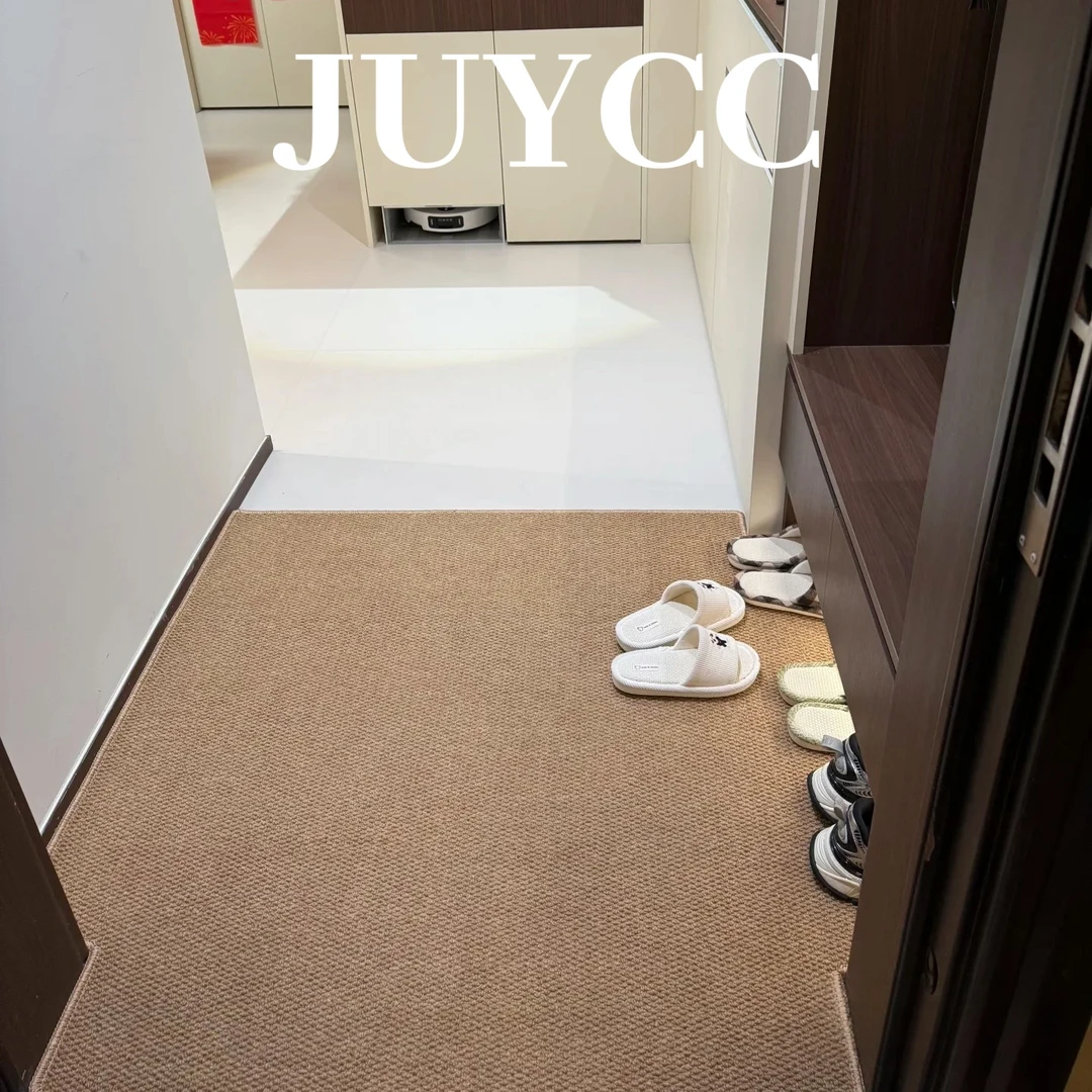 高颜值入户门地垫门口脚垫室内进门家用仿剑麻地毯门垫玄关高级感