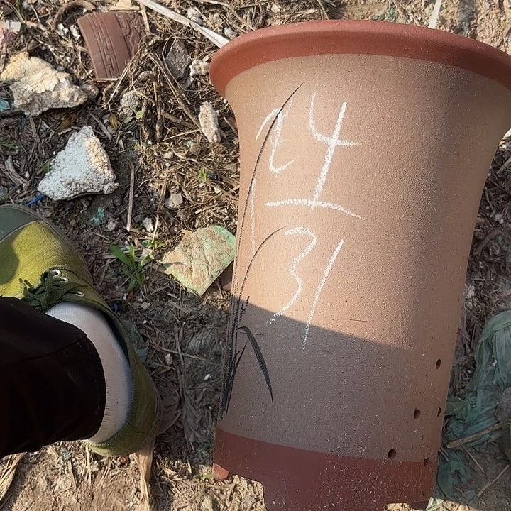 紫砂花盆紫砂的味道