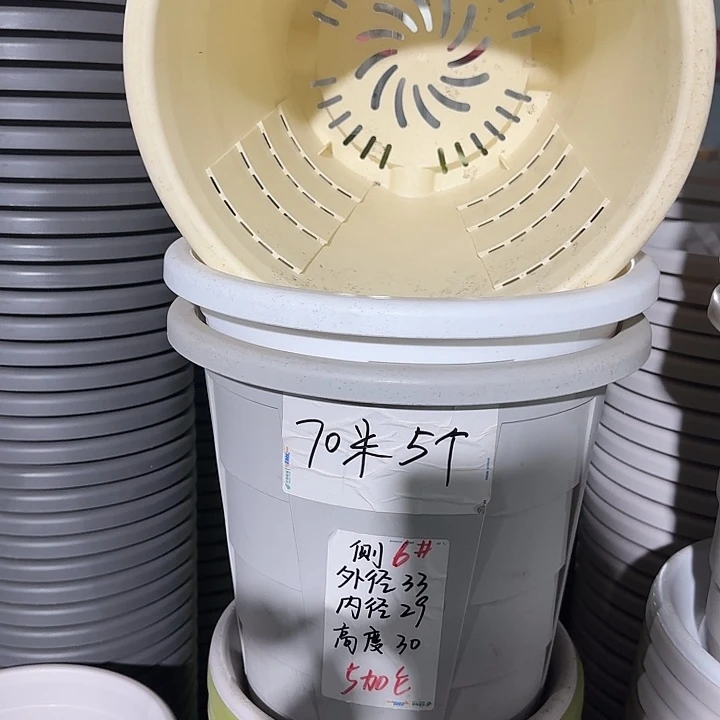 测6#口径33无托灰白5个