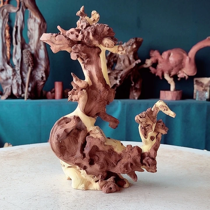 黑果木西*君817金丝红木羊蹄甲半成品经典款