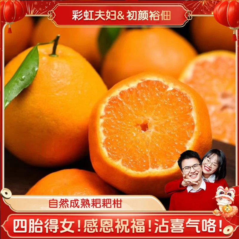 【自然成熟】正宗春见耙耙好吃不上火 入口爆汁坏果包赔4.5斤装