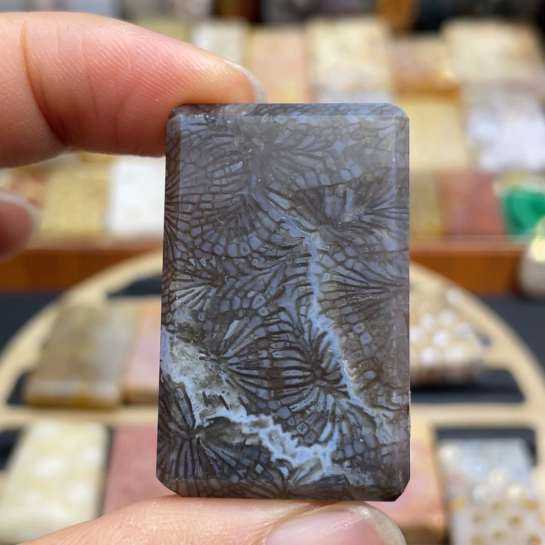 硅化玉未镶嵌颈饰k71