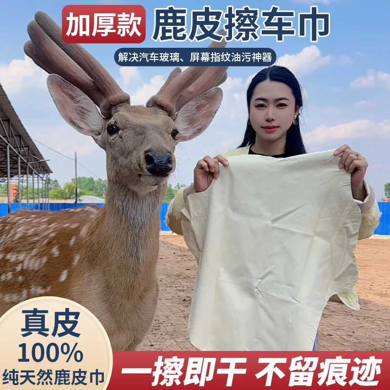 整张毛巾鹿皮巾高档保养多用途擦车清洁擦玻璃纯正鹿皮鹿皮抹布