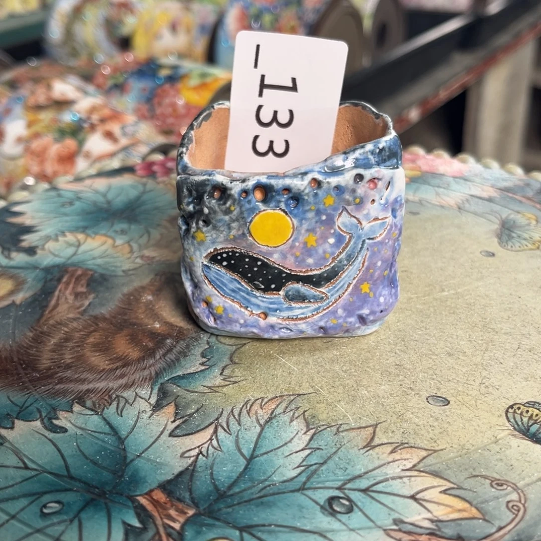 133多肉花盆   1个