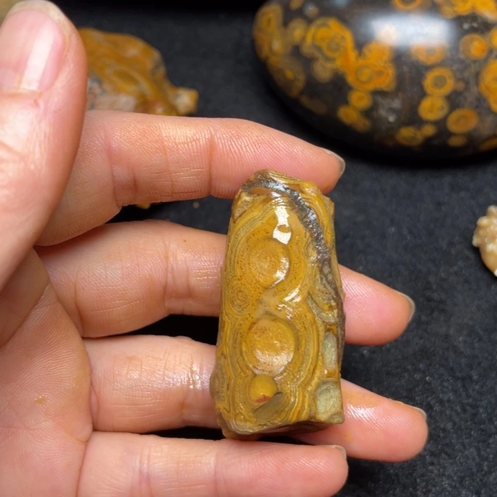 石材九眼页岩钱币石原石143