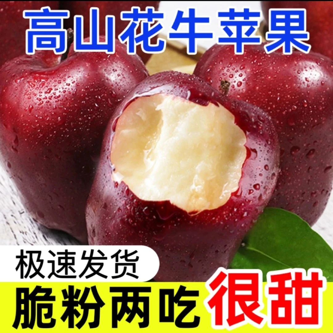 甘肃天水花牛苹果蛇果新鲜采摘脆粉两吃当季水果产地直发坏果包赔