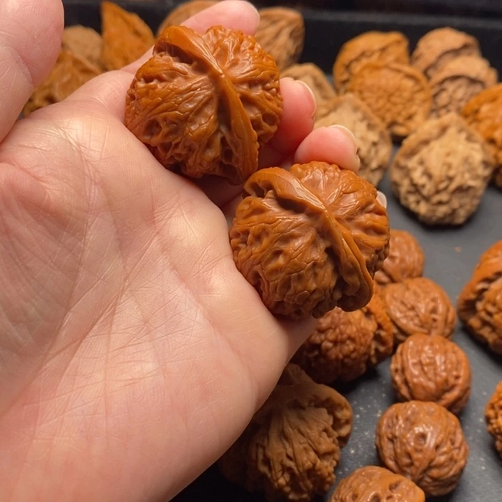 秦岭野生111111111