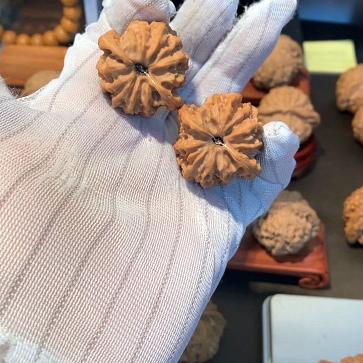 桃核吊坠提**卡34尺寸大龙
