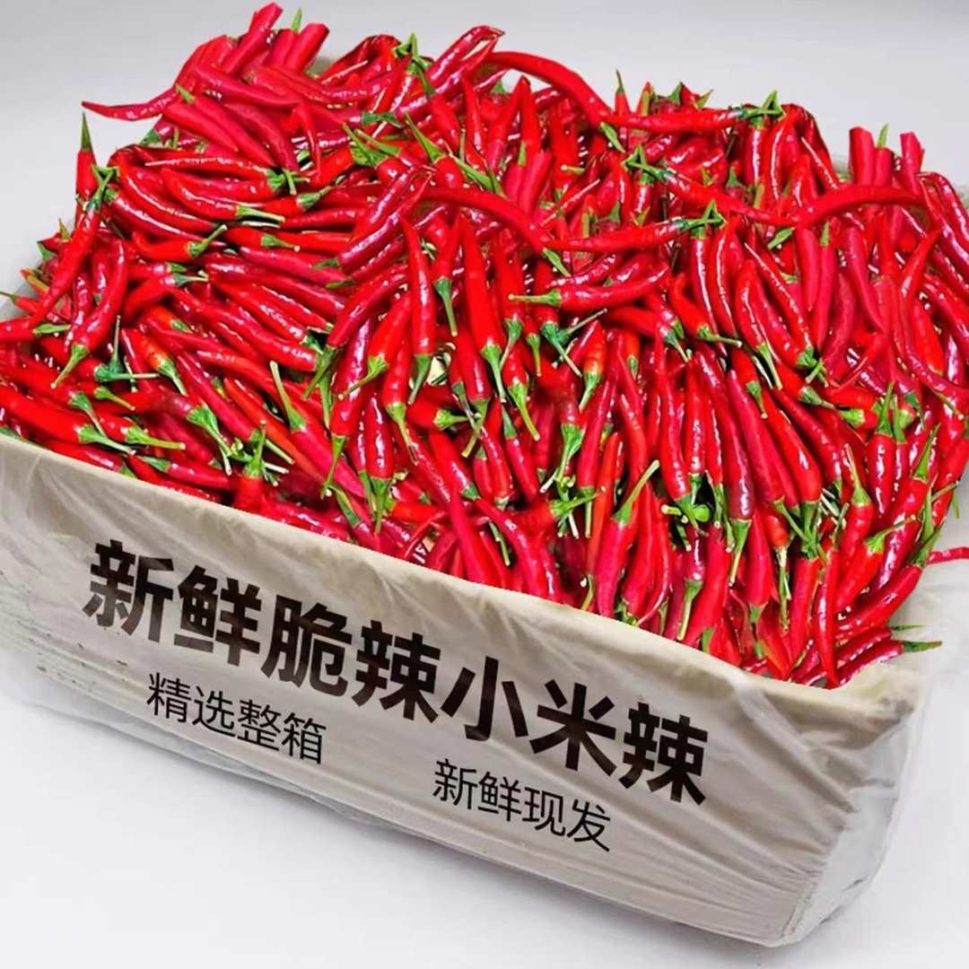 【限量抢5斤】特辣新鲜小米辣椒红辣椒薄皮辣椒小米椒泡椒剁椒批发