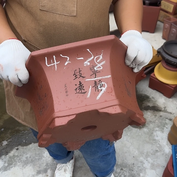好喜欢看肖春阳演