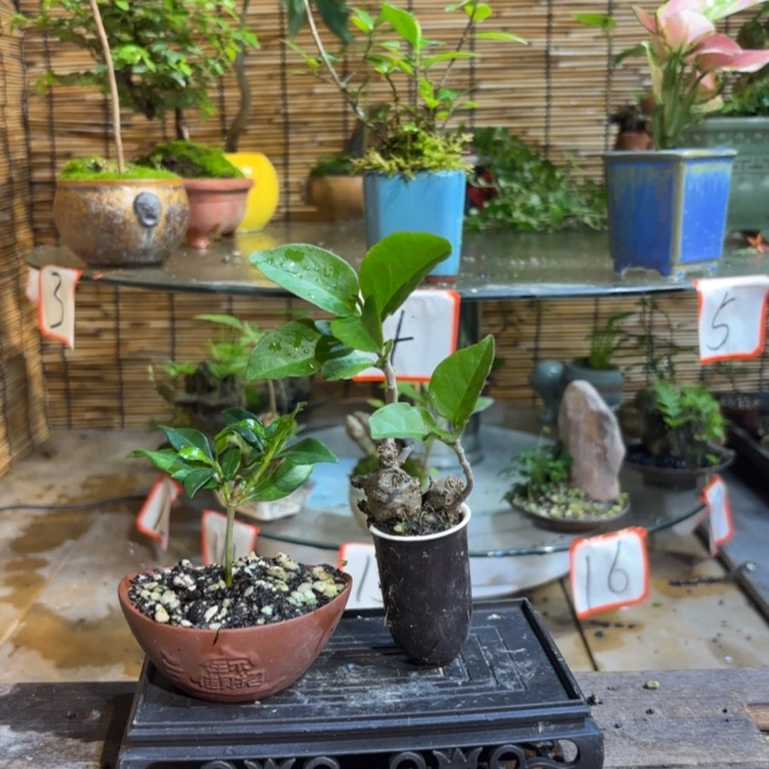 我***店完全开放退款拉黑一物一拍214