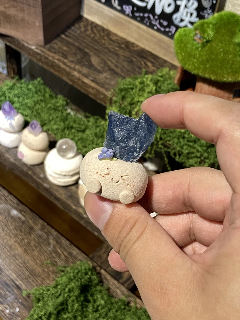 水晶小豆丁蓝应试9