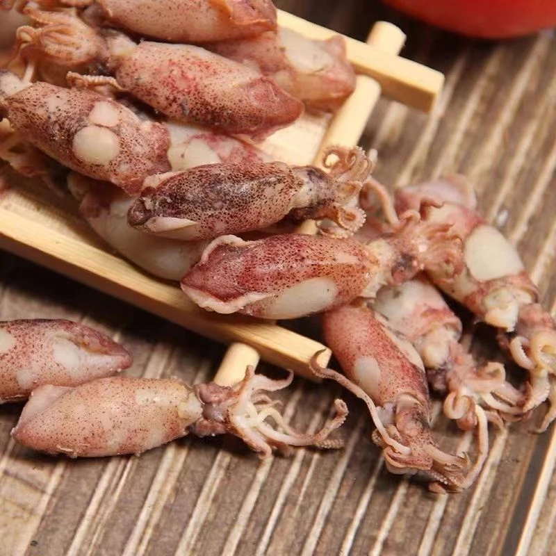 海兔子干货籽乌海兔干非满籽特级笔管鱼鱿鱼仔墨鱼乌贼干货海鲜