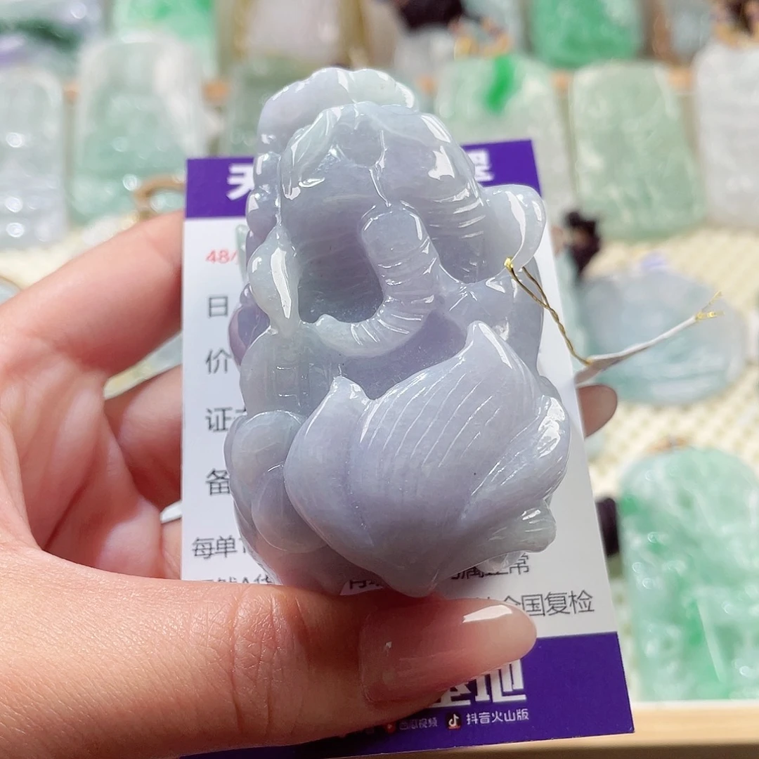 翡翠未镶嵌颈饰貔貅