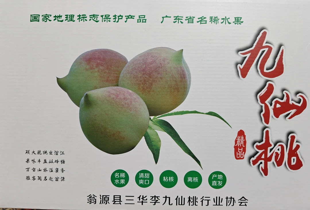 现摘新鲜九仙桃清甜脆口当季水果精品大果高档礼盒装送礼佳品