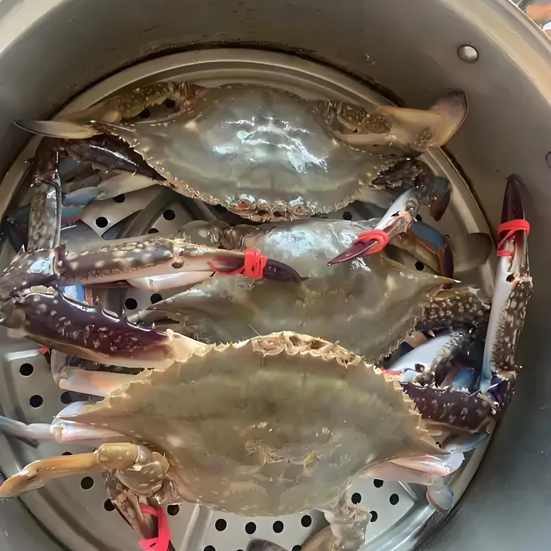 （港威海鲜）鲜活东港2-4两三角母飞蟹3斤