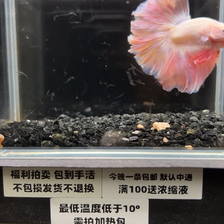 斗鱼竞拍跑单拉黑23日89