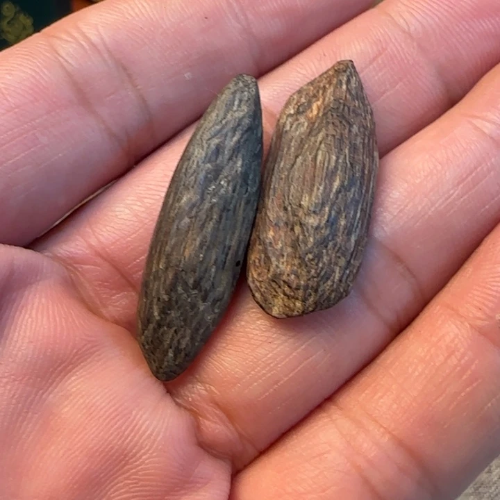 沉香摆件海南野生瓜子1.3克