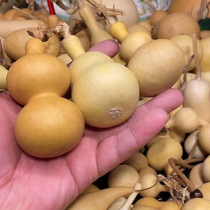 豆*抖精品葫芦手把葫芦80