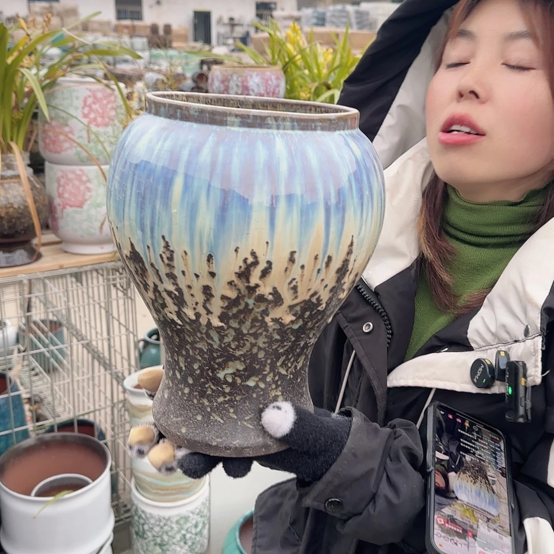 王嫂花盆1223-168高26口16