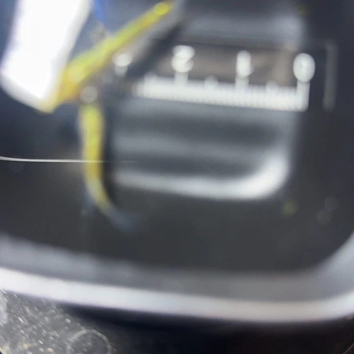 青鳉鱼47号拍品黄金布朗