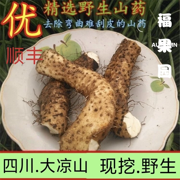 【限量】野生山药四川大凉山纯自然非人工种植高山产滋补老少孕妇适