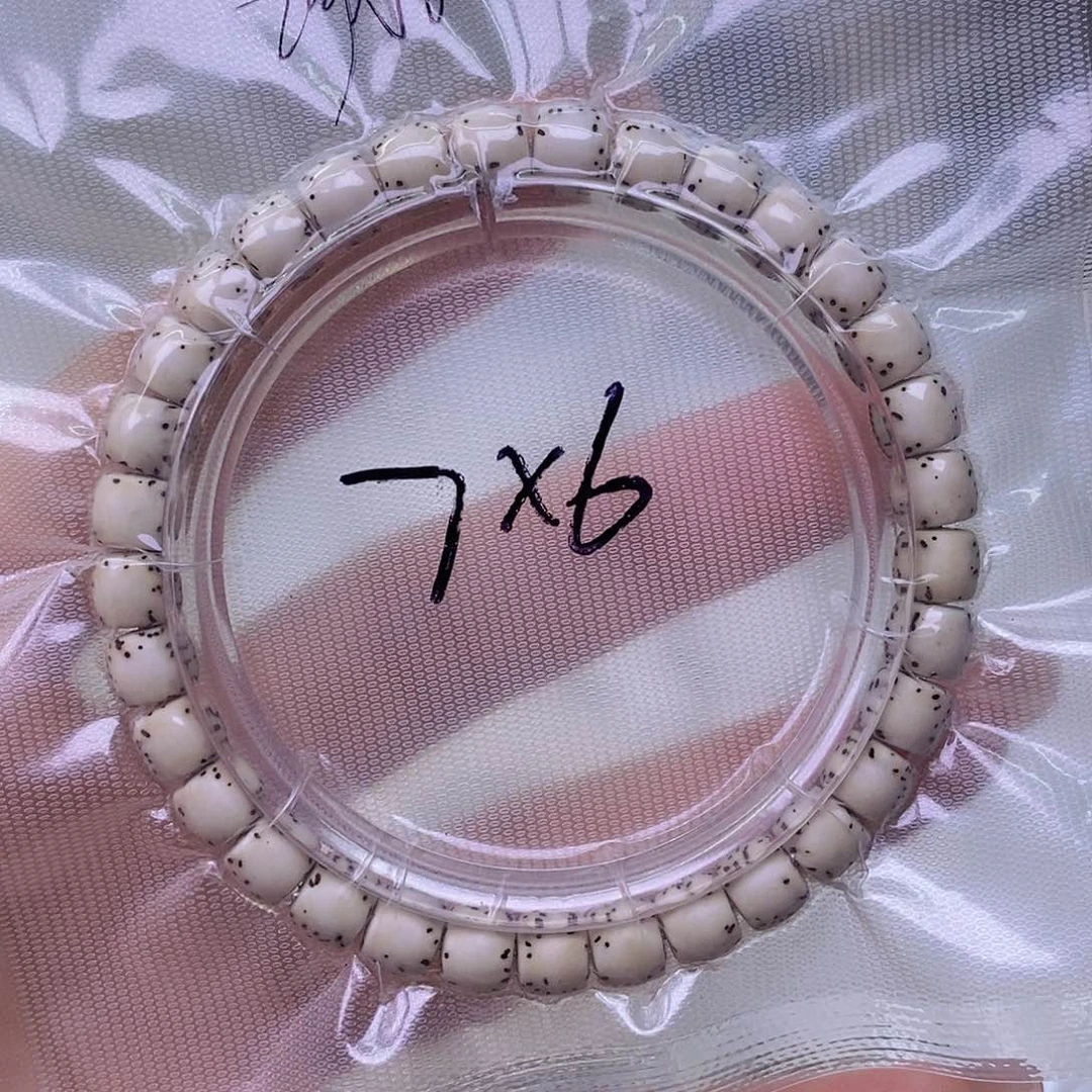 星月菩提手串原白