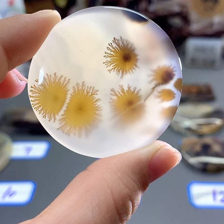未镶嵌颈饰玛瑙/玉髓