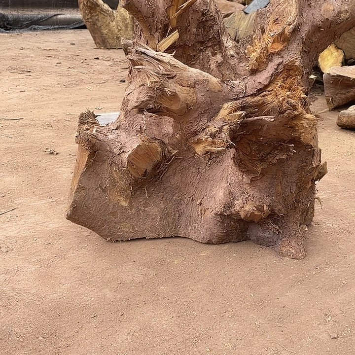 阿祥木业 一物一拍