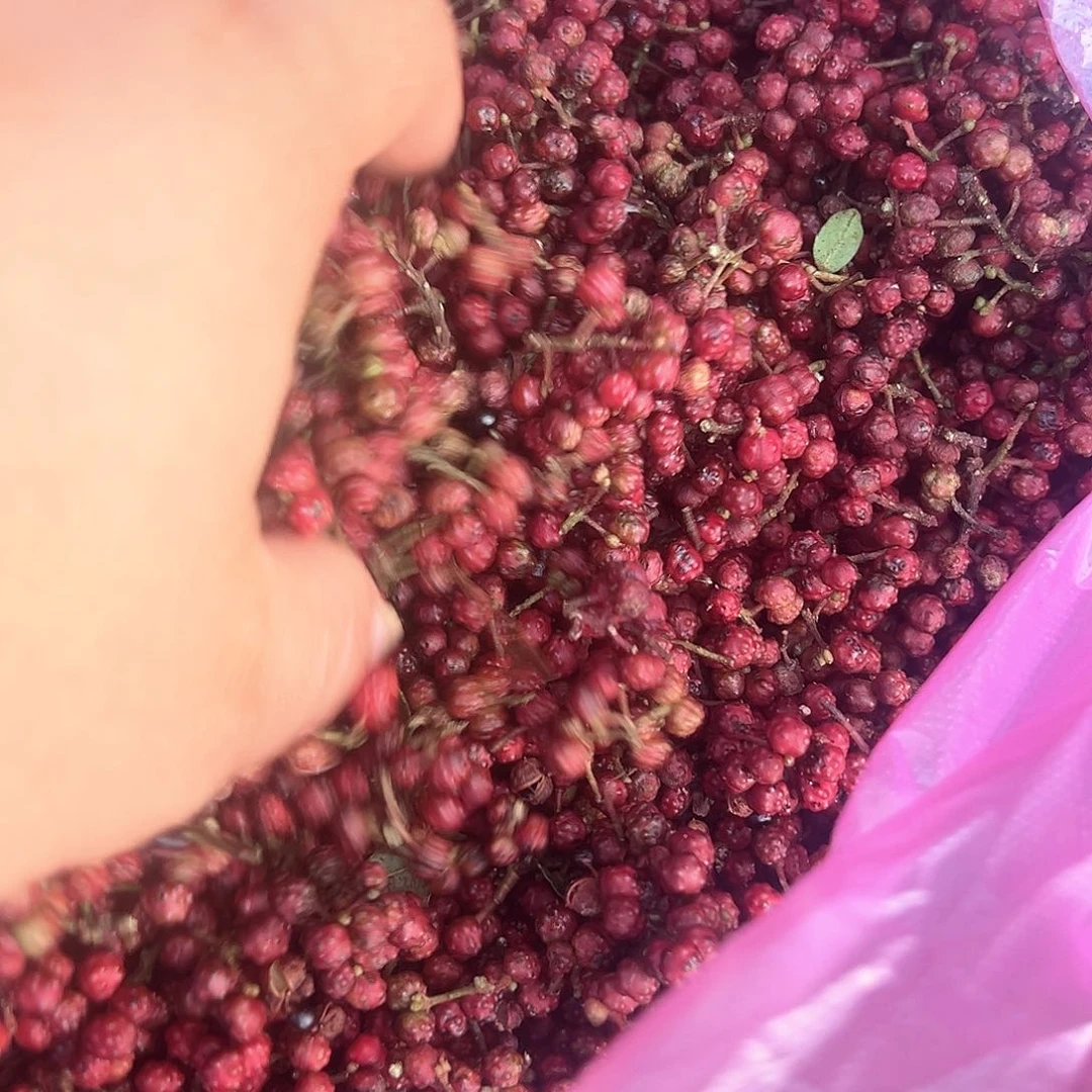 中国大陆新鲜花椒1斤包邮