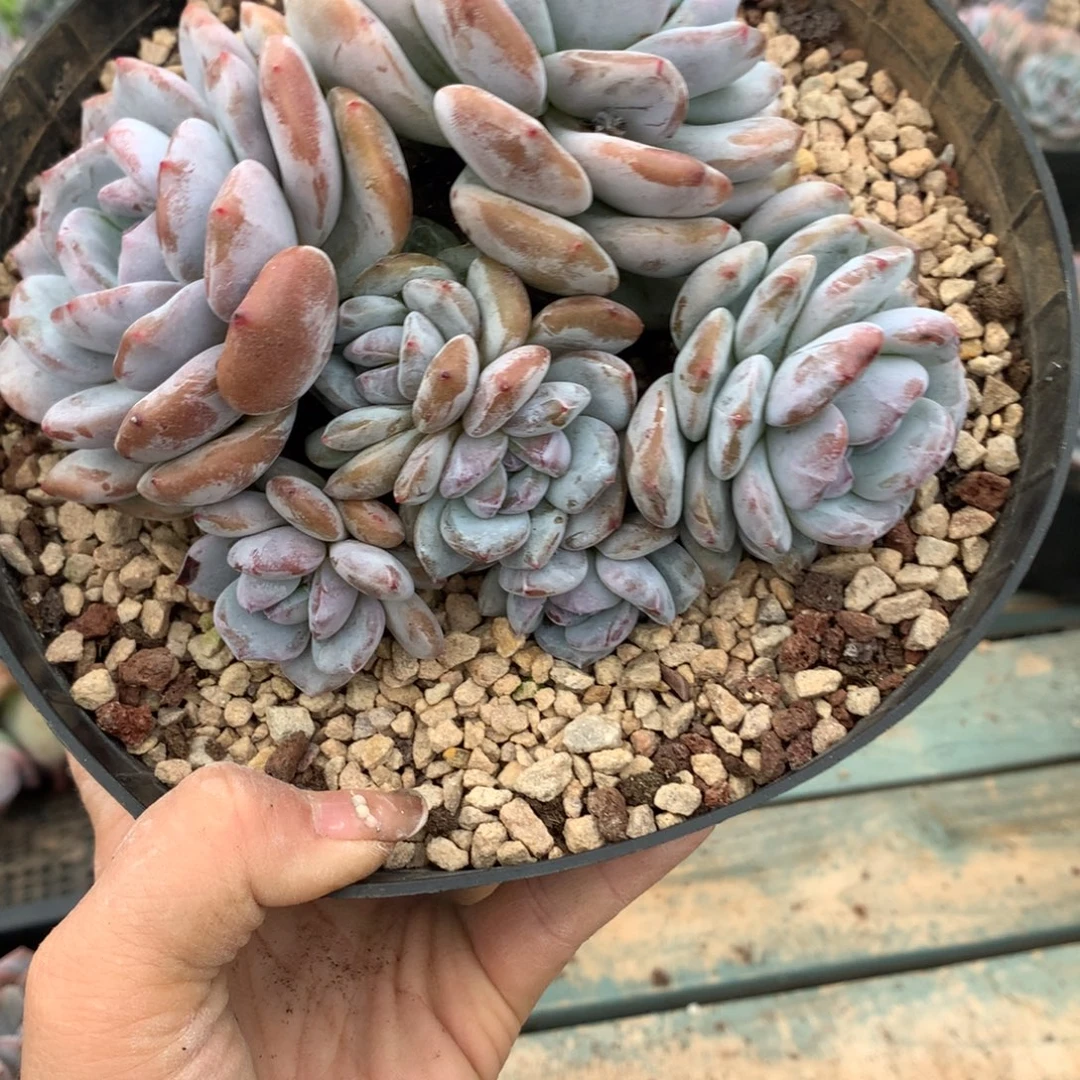 哈哈哈哈哈哈哈哈哈哈