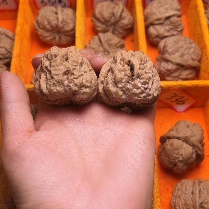 葫芦涞水山地果蛤莫头42尺108号