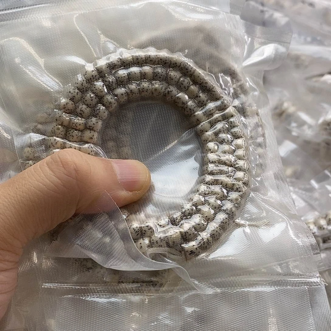 星月菩提吊坠一元福利