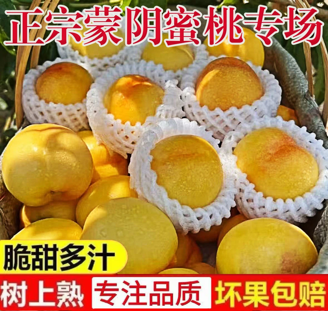 山东蒙阴芒果油桃,不用膨大剂甜蜜素,自然成熟,脆甜爽口,果园直发