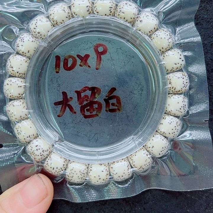 星月菩提吊坠10尺寸