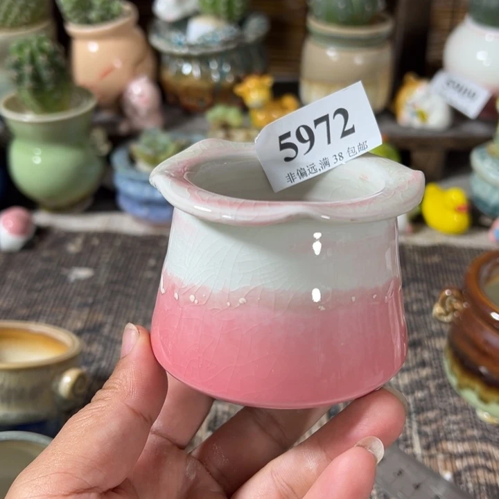 口5 手工花盆满30包邮