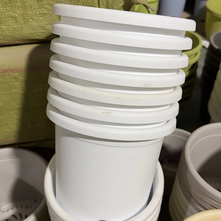 微瑕3#白色10个无托