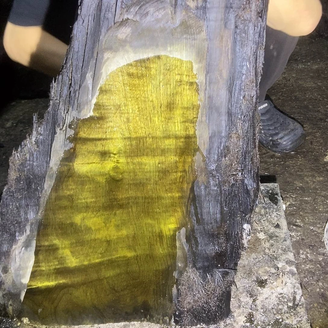 明***好金丝楠阴沉木毛料