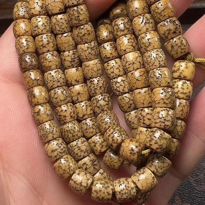 我们都是在这里看到的哈