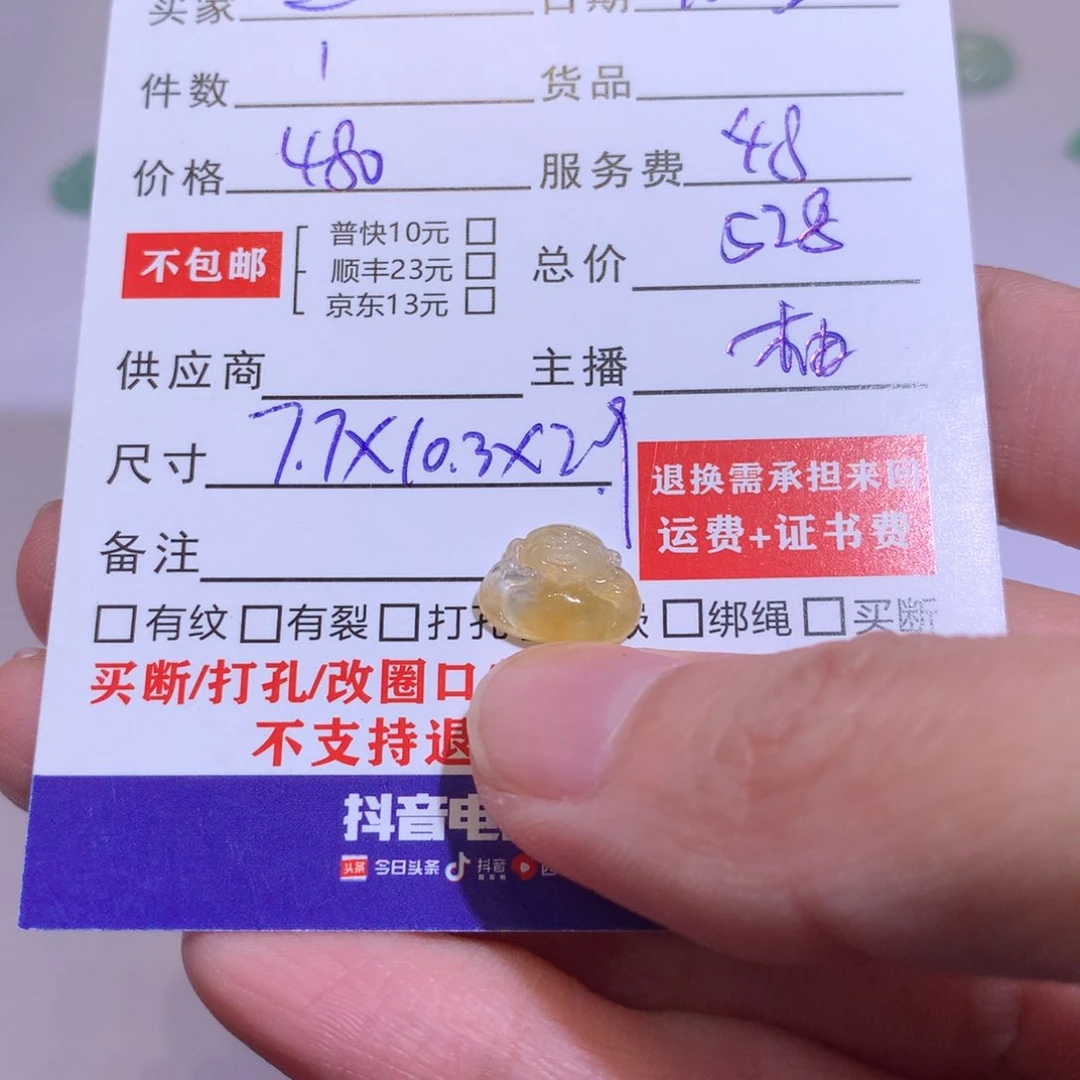 颈饰未镶嵌翡翠芝*