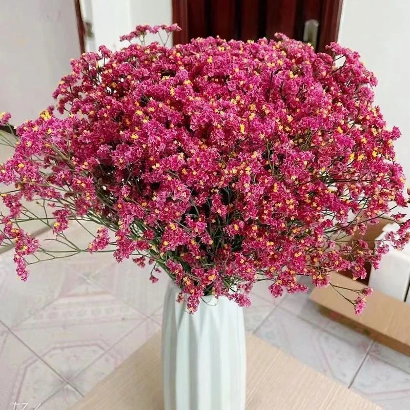 【水晶草】红水晶云南干花花束家居摆设小清新装饰鲜花真花ins
