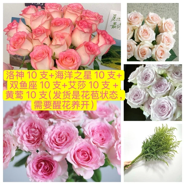特价【多色玫瑰组合套餐】家用生活云南鲜切花 瓶插花 DIY花束 任意花材两单送花瓶顺丰送花上门