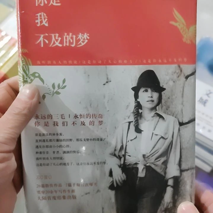 三毛你是我不及的梦