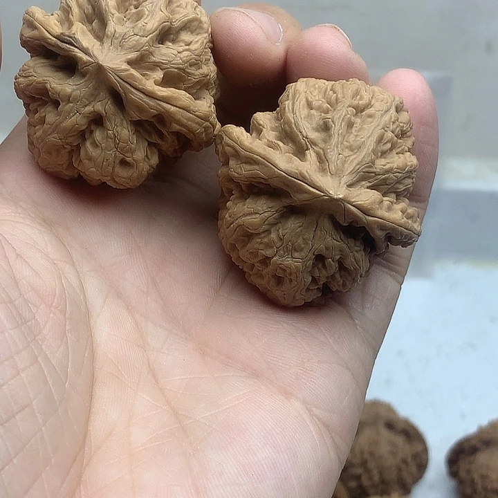 文玩核桃吊坠40粗筋