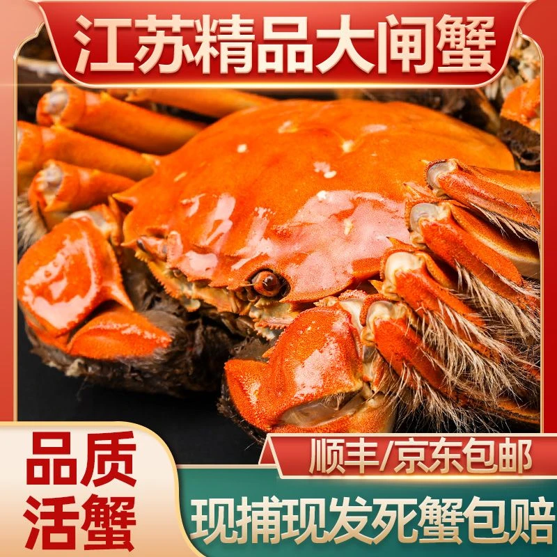 活蟹江苏大闸蟹鲜活螃蟹全母3.0两8只装