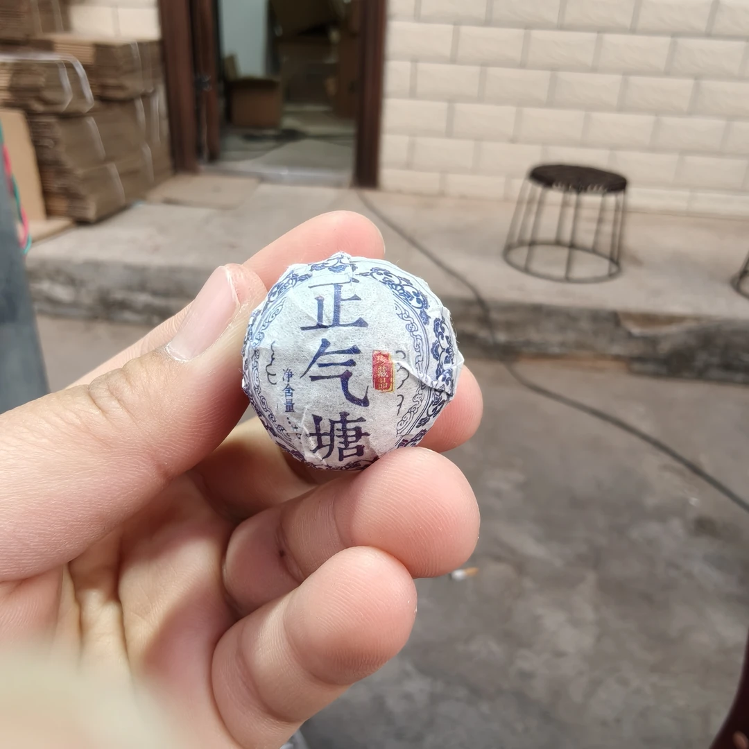 2024年东弄春茶龙珠 10颗 2月11【1号】