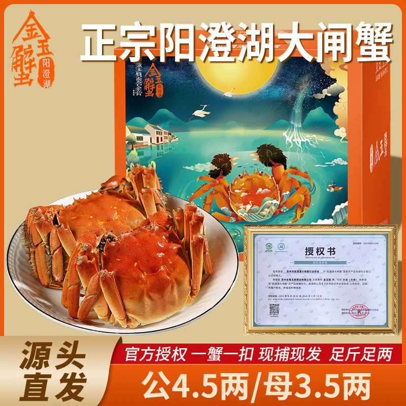 【小鸟专属】活蟹4.5两公+3.5两母10只装5对正宗阳澄湖大闸蟹高标准塘养