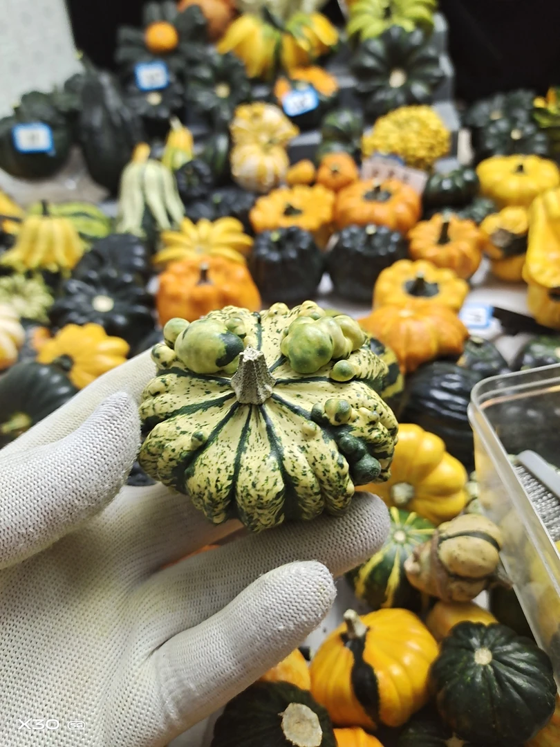 家居摆价一物一价